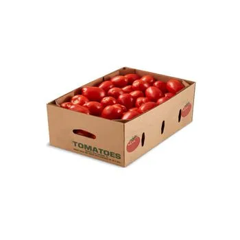 Roma Tomatoes – Fresh, Nutritious and Essential for Your Diet