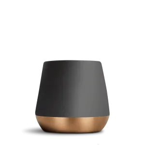 Bold Bean Coffee Roasters Fellow – Double Walled Ceramic Mug