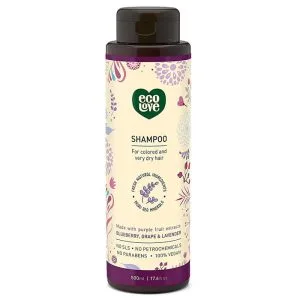 ecoLove – Purple Fruit Shampoo For Colored & Dry Hair 17.6 fl oz