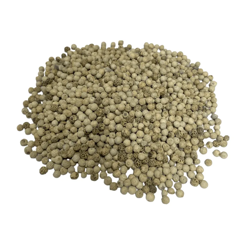 White Peppercorn Muntok (Piper Nigrum)