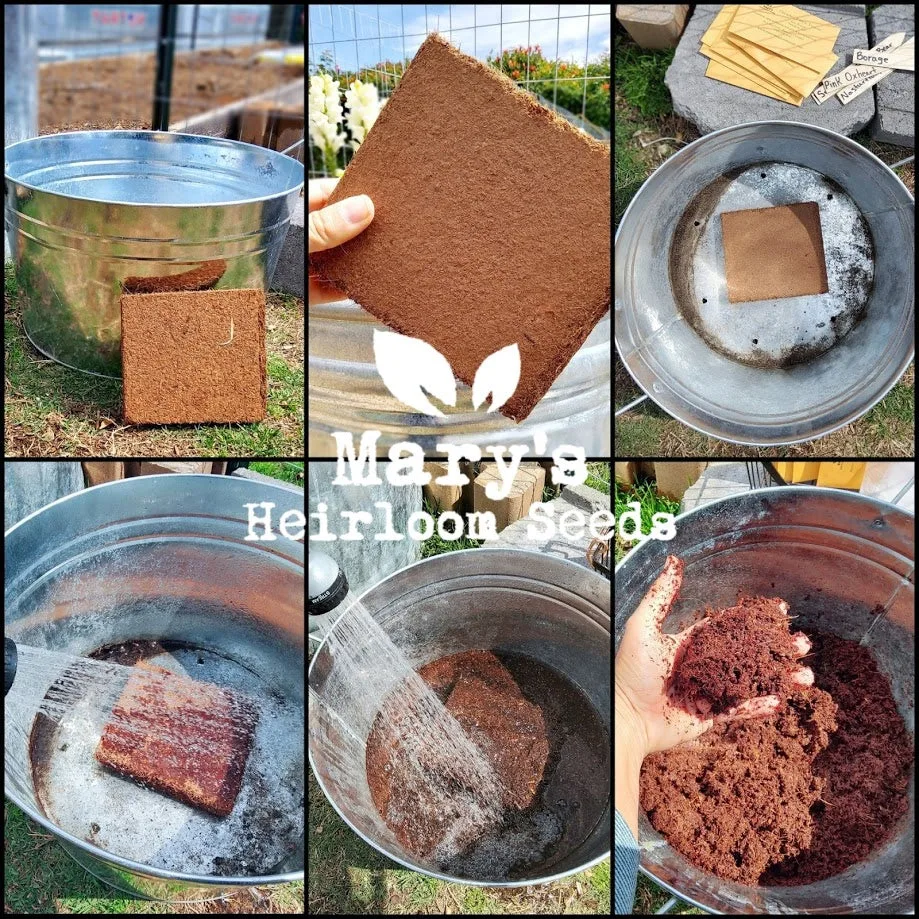 DIY Starter Pods