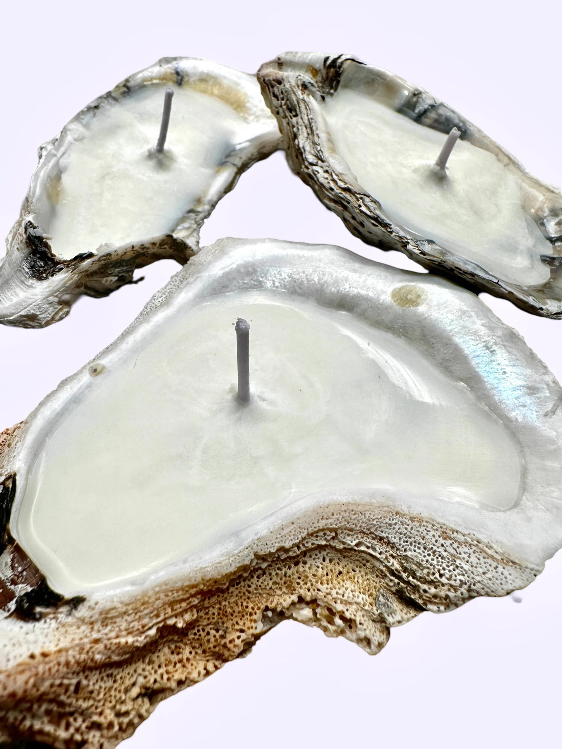 Martini Candle Co. – Oyster Shell Candle Handmade Beeswax Soy : High T