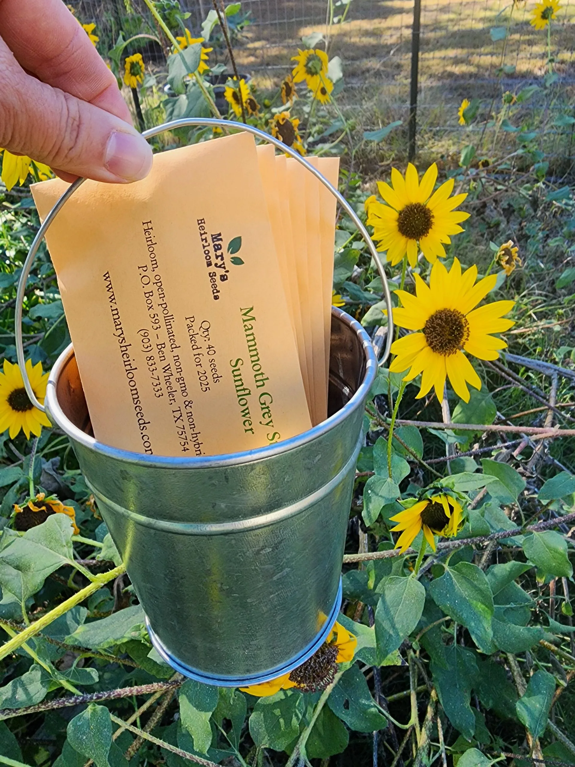 Mini Galvanized Bucket – Gift Set
