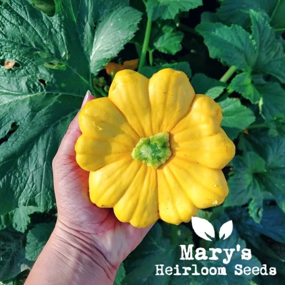 Homesteader’s Comprehensive Seed Collection