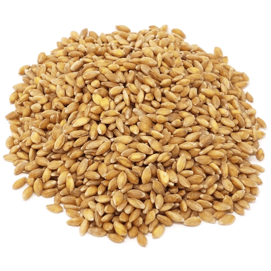 Einkorn Berries, Organic