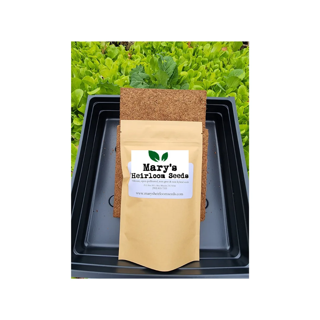 Cilantro Microgreens Starter Kit GIFT BOX