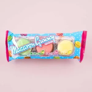 Yaokin Macaron Gummy – Assorted Fruits