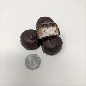 Sugar free Asher’s Dark Chocolate Covered Marshmallows