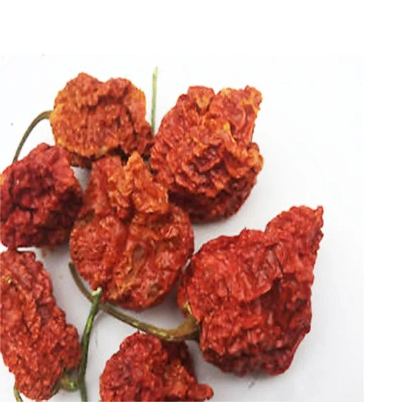 Trinidad Scorpion Butch T Pods