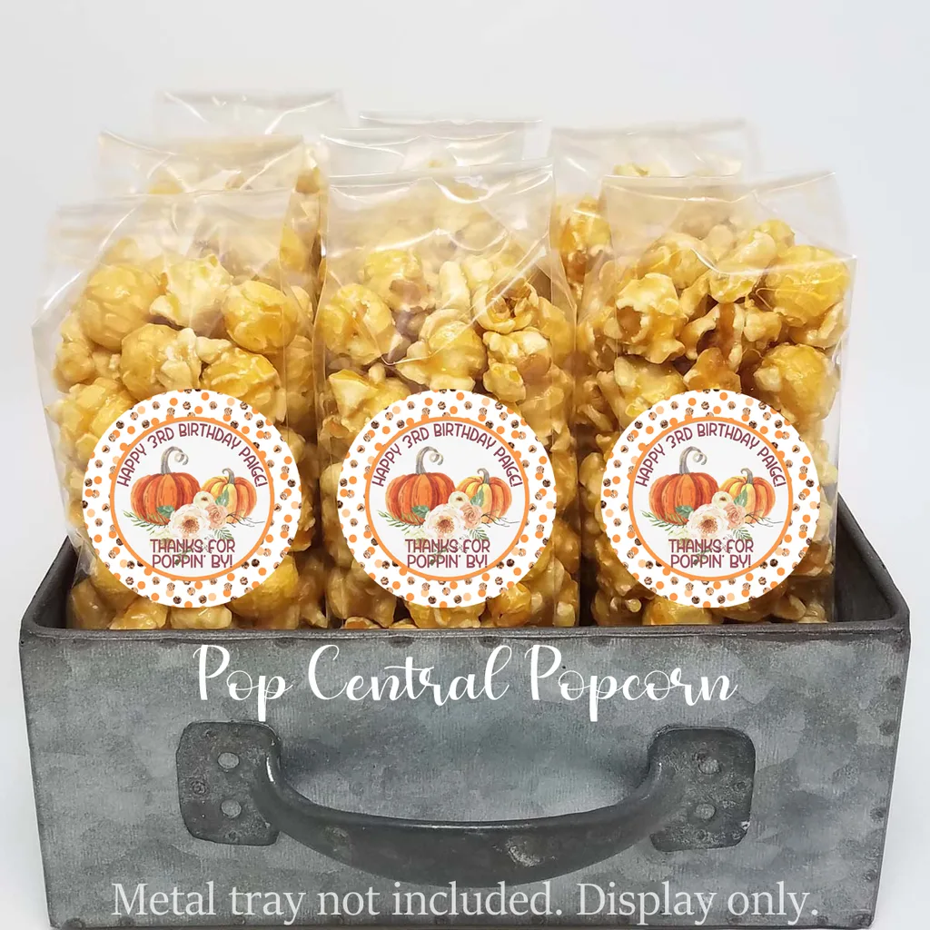 Fall Polkadot Pumpkin – Birthday Party Favors