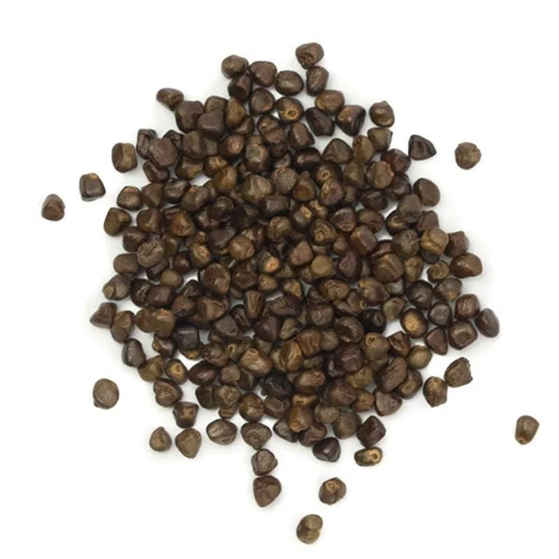 Korarima Grain (Aframomum Corrorima)