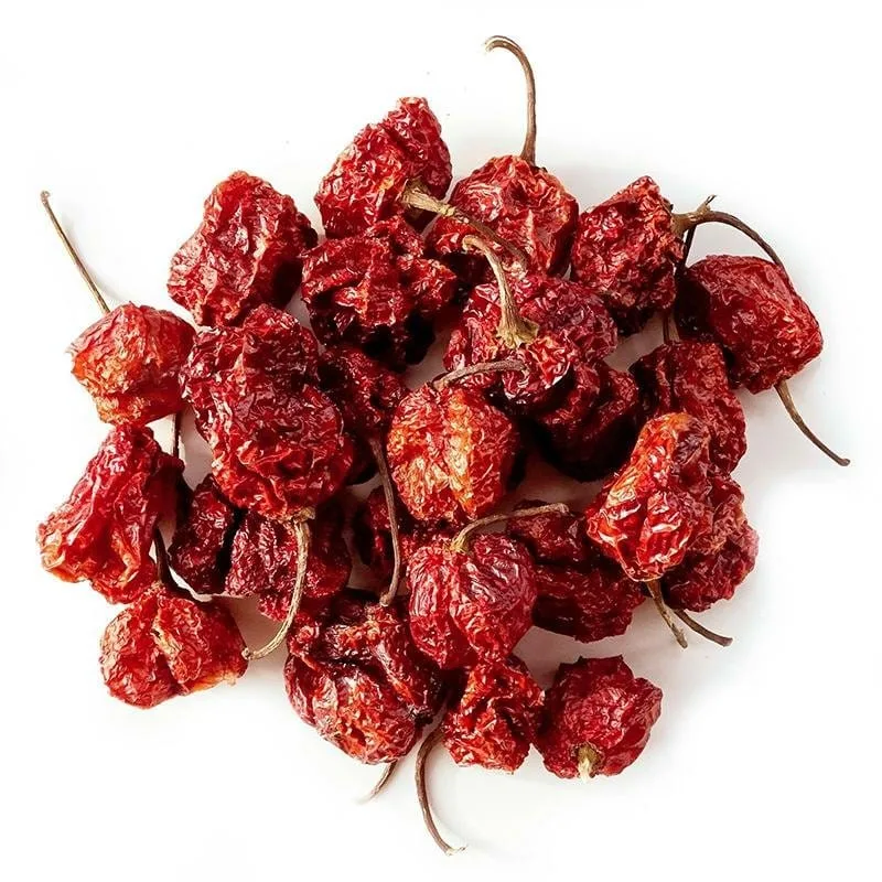 Trinidad Moruga Scorpion Pods