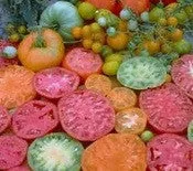 Mary’s Tomato Lover Combo Pack