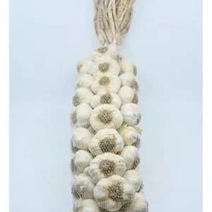 2 foot Gilroy Garlic Braid BEST DEAL! 4.5 to 5 pounds