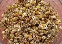 Chamomile Tincture Kit