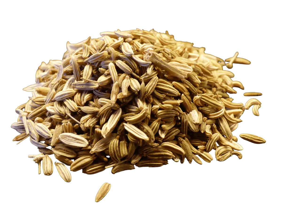 Fennel Seed, Whole