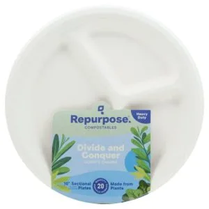 REPURPOSE – PLATES 10IN DINNER 20PC
