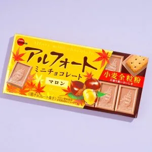 Bourbon Alfort Mini Chocolate Biscuits – Chestnut
