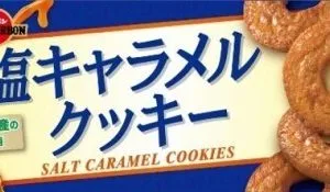 Bourbon, Salt Caramel Cookie, 9 pcs in 1 box