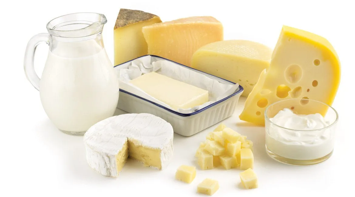 CHEESES – MEDIUM