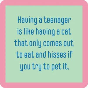 Drinks on Me coasters – Teenager/cat