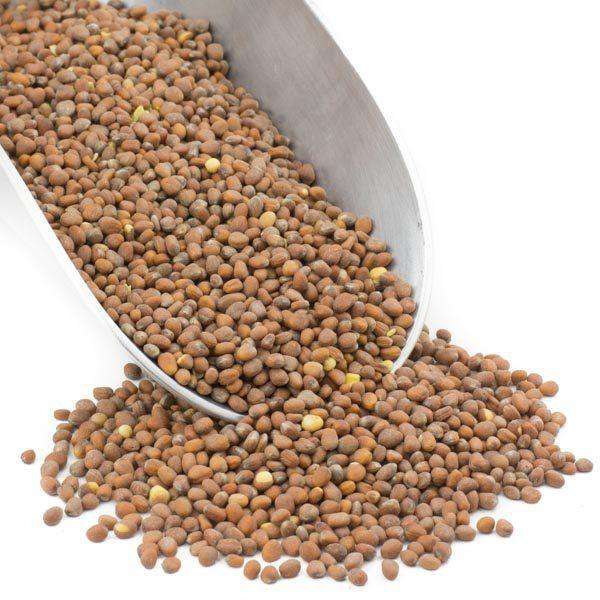 Radish Seeds, Organic