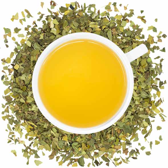 Organic Mint Mate Bulk (by the pound)